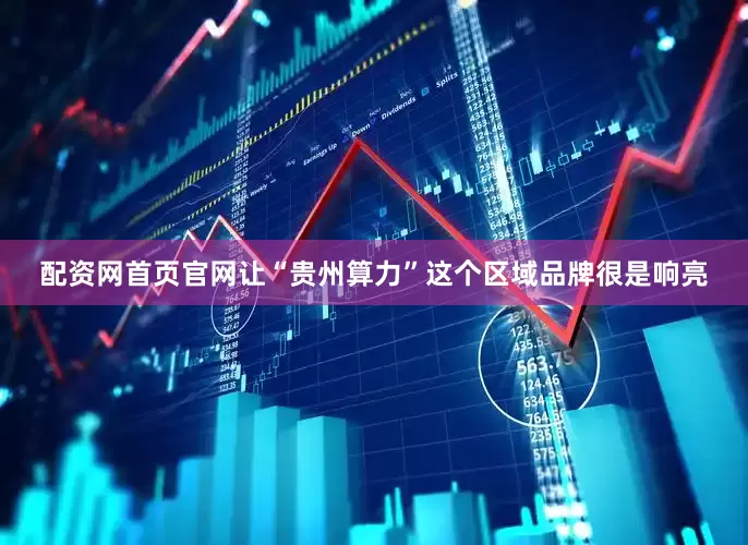 配资网首页官网让“贵州算力”这个区域品牌很是响亮