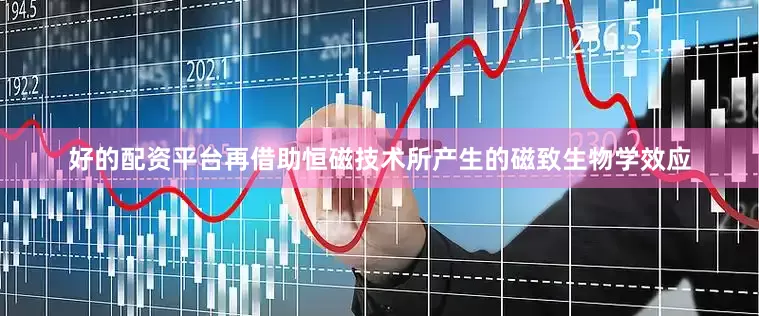 好的配资平台再借助恒磁技术所产生的磁致生物学效应
